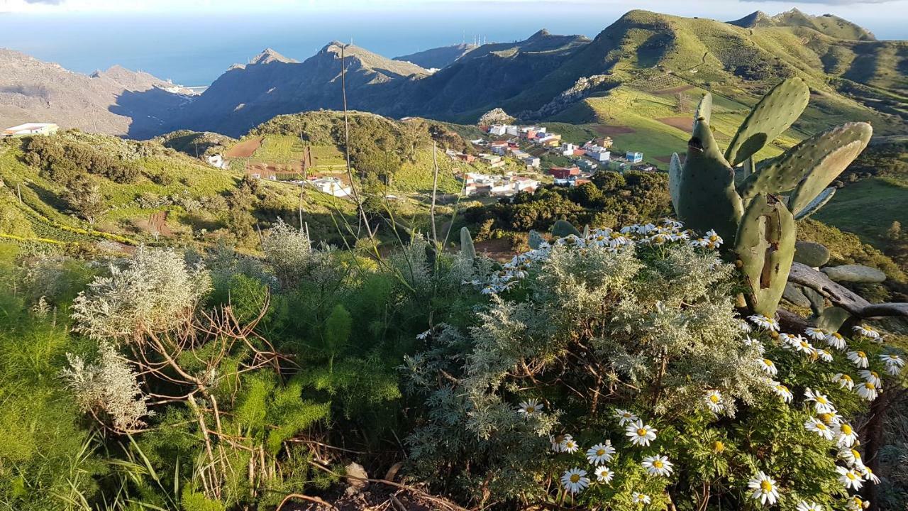 La Casita De Omar En El Corazon De Anaga Y La Laguna Las Mercedes Екстер'єр фото